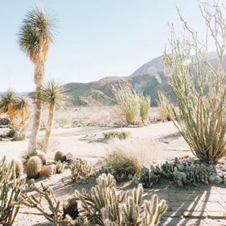 Dreaming of our next adventure 🌵